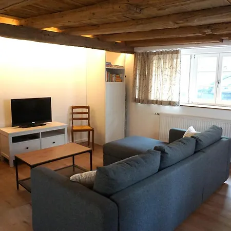 Les Hirondelles - Spacieux Et Typique Alsacien - Commerces A Proximite - Proche Selestat *