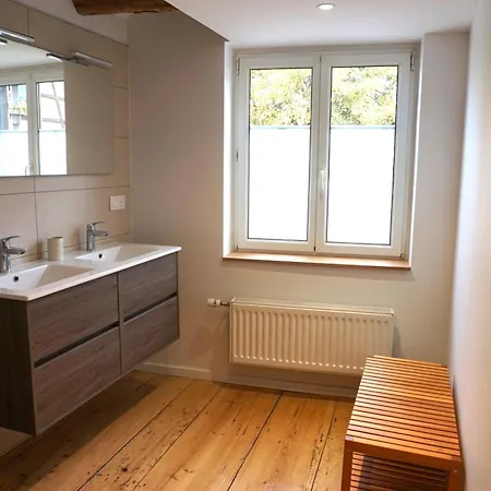 Les Hirondelles - Spacieux Et Typique Alsacien - Commerces A Proximite - Proche Selestat *
