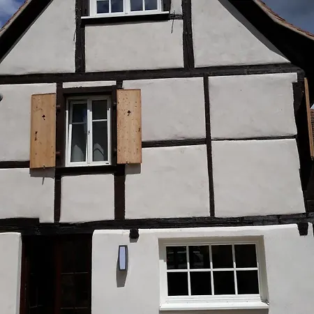 Les Hirondelles - Spacieux Et Typique Alsacien - Commerces A Proximite - Proche Selestat *