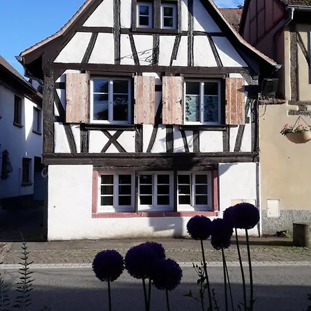 Les Hirondelles - Spacieux Et Typique Alsacien - Commerces A Proximite - Proche Selestat