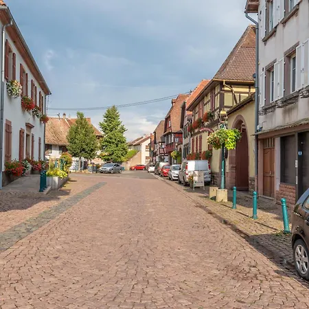 Les Hirondelles - Spacieux Et Typique Alsacien - Commerces A Proximite - Proche Selestat