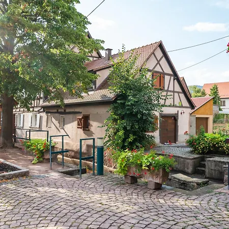 Les Hirondelles - Spacieux Et Typique Alsacien - Commerces A Proximite - Proche Selestat Scherwiller