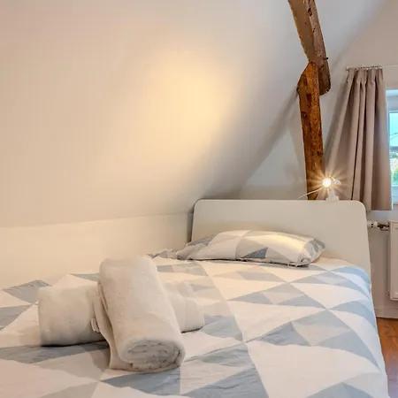 Les Hirondelles - Spacieux Et Typique Alsacien - Commerces A Proximite - Proche Selestat Scherwiller