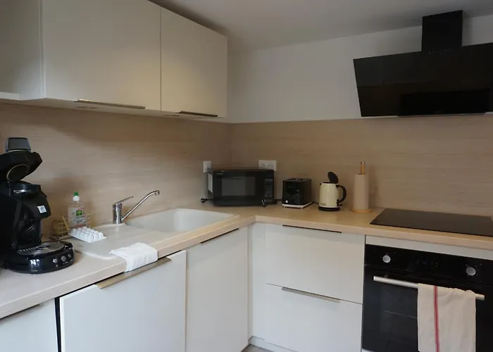 Holiday home Les Hirondelles - Spacieux Et Typique Alsacien - Commerces A Proximite - Proche Selestat *