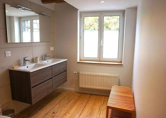 Les Hirondelles - Spacieux Et Typique Alsacien - Commerces A Proximite - Proche Selestat *