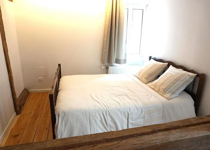 Les Hirondelles - Spacieux Et Typique Alsacien - Commerces A Proximite - Proche Selestat * Scherwiller