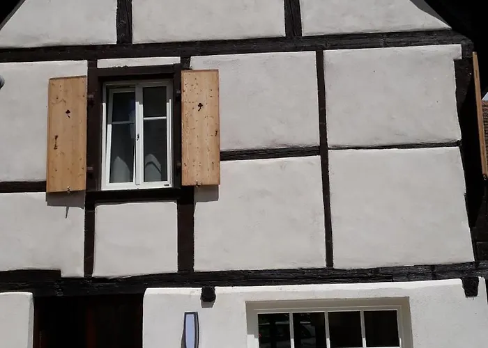 Les Hirondelles - Spacieux Et Typique Alsacien - Commerces A Proximite - Proche Selestat *